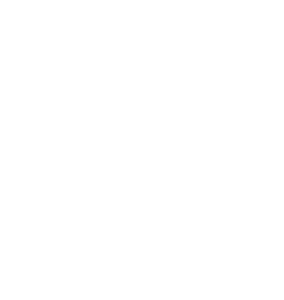 Warranty